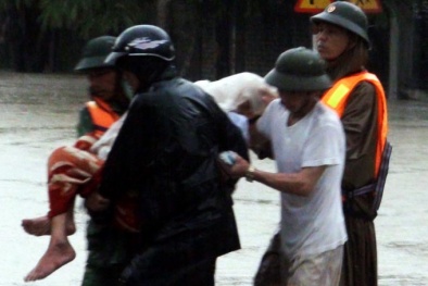 Nơi tâm lũ Hoàng Mai, người phải sống chung với lợn
